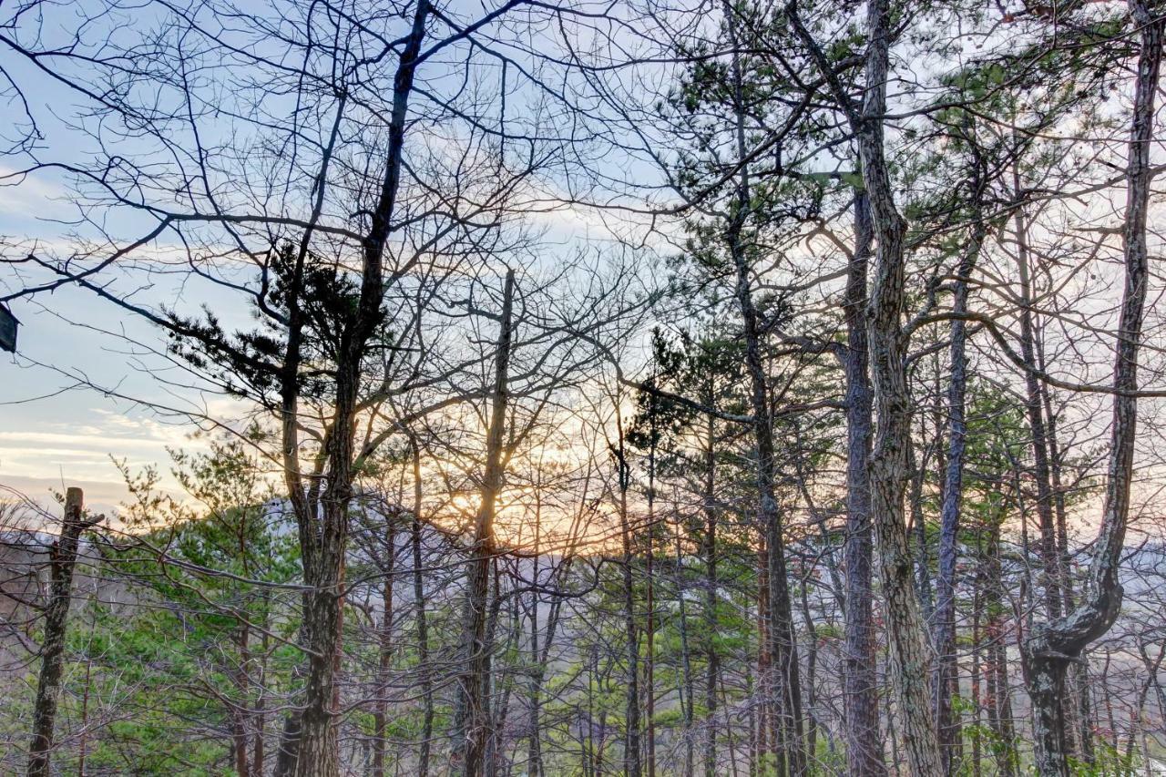 Misty View Cabin Hatchertown Buitenkant foto