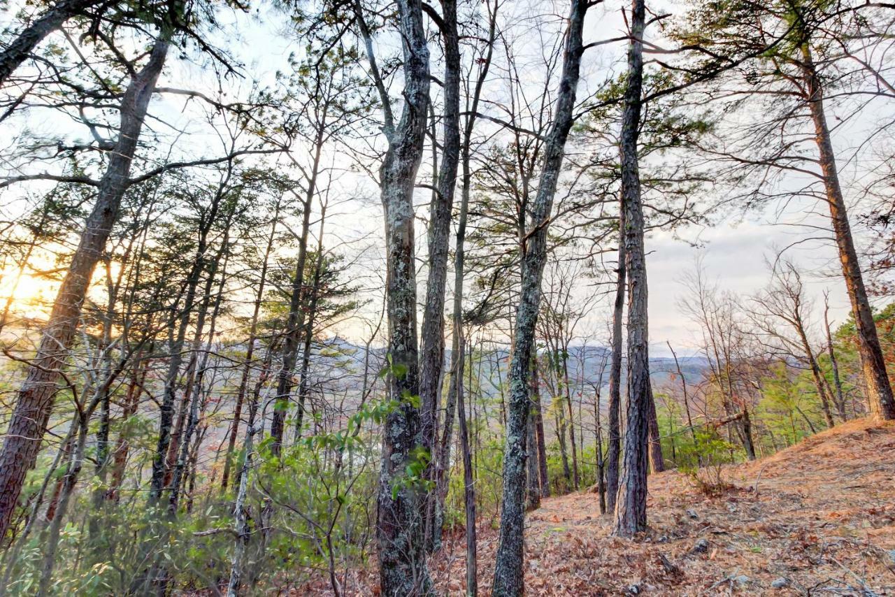 Misty View Cabin Hatchertown Buitenkant foto